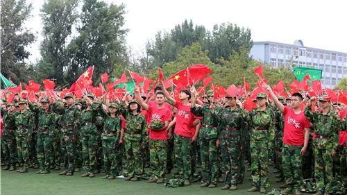 口袋森林世界杯防守战